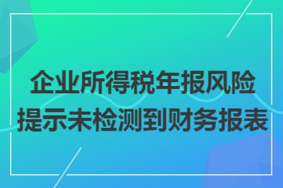 企业所得税年报风险提示未检测到财务报表